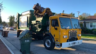 Valley Vista Services DaDee Scorpion 472 on Trash