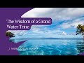 The Wisdom of a Grand Water Trine