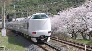 【JR阪和線の桜の名所】山中渓駅にて