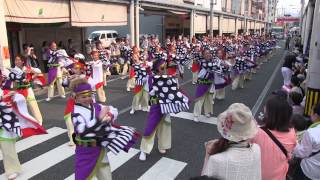 第60回よさこい祭り本祭2日目(2013/8/11) 「俄嘉屋」