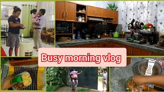 කාර්යබහුල උදෑසනට ලේසියෙන්ම කෑම හදමු |daily vlog |lunch box recipe| meal prep🍱🍱| kitchen hacks