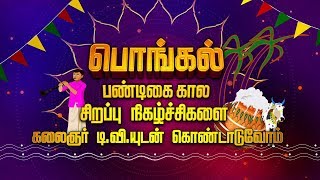 தமிழர் திருநாள், மாறாத நெறிகளும் மறவாத கலைகளும் | Celebrate this Pongal 2019