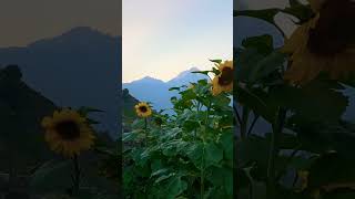 Georgia Kazbegi village AkhaltsikheI wish all Georgian emigrants to return home.