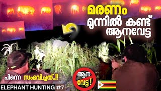 EP#7 മുന്നിൽ ആന | വെടി വെക്കാൻ ഉള്ള കഷ്ടപ്പാട് 🔥🌓 #travel #zimbabwe