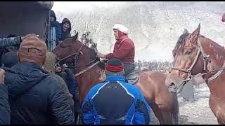 Халим полвон бо аспи Хочи Кахрамон манчестер  бузкаши улок купкати Шахристон Сугд Точикистон