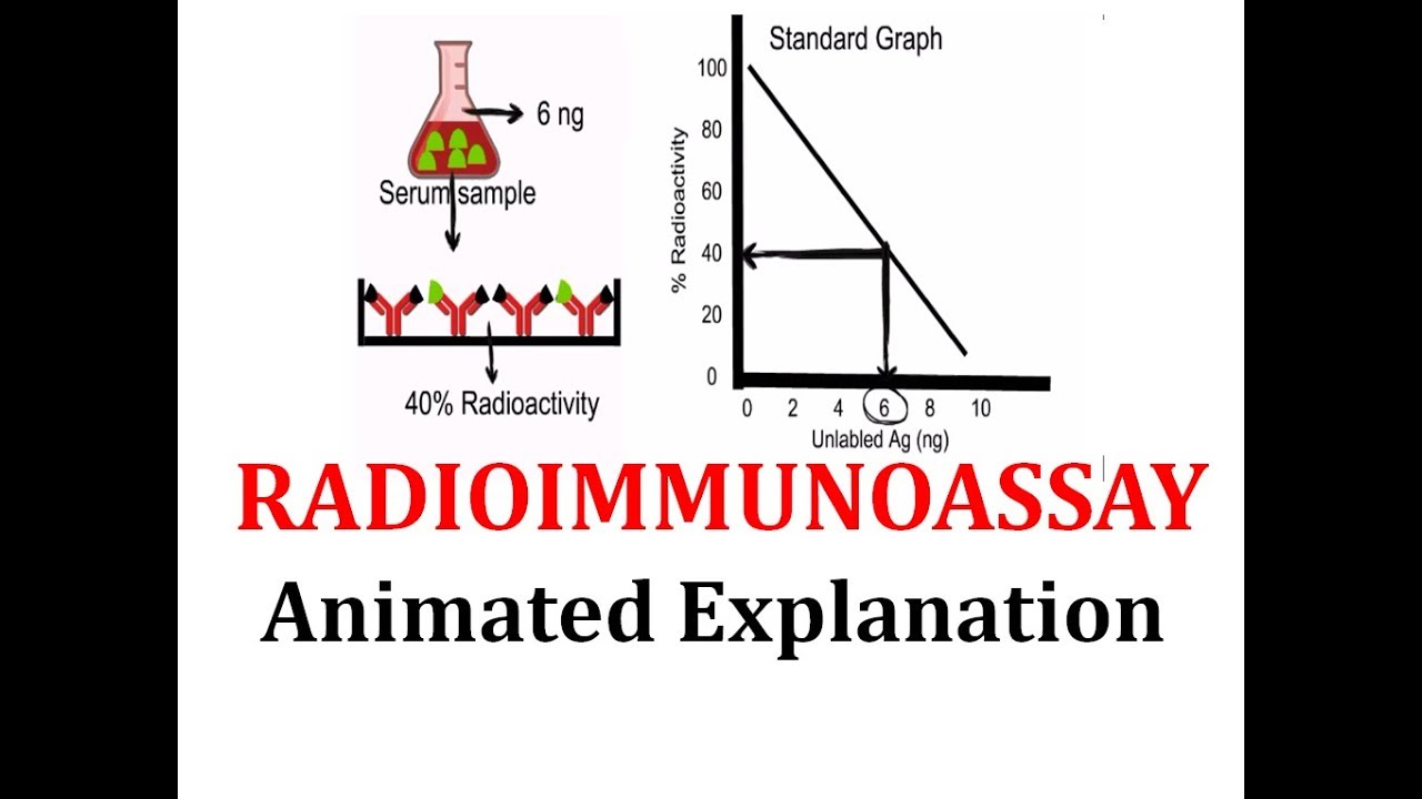 What Is Radioimmunoassay Used For - Slidesharetrick