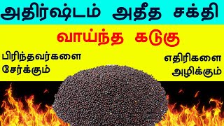 அதிர்ஷ்டமும் அதீத சக்தி வாய்ந்த கடுகு | Mustard Mystery | kadugu pariharam | Stop கண் திருஷ்டி