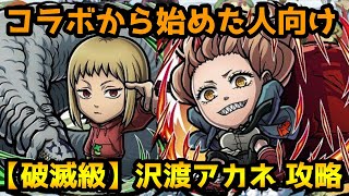 【コトダマン】コラボから始めた人でも組める 破滅級 沢渡アカネ 攻略【チェンソーマンコラボ】