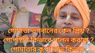 গোপা অষ্টমীর মাহাত্ম্য! ভগবান কোন দিন গোচারণ করেছিলেন? গোমাতার কৃপা কিভাবে পেতে পারি!