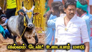 வல்லம் டேவிட் உடையார் மாடு | திருச்சி சூரியூர் ஜல்லிக்கட்டு 2025