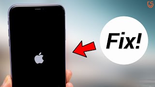 How to Fix iPhone iOS 13 Update Stuck in Boot Loop, No Data Loss!