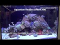 aquariums of interzoo 2012 pt. 44 red sea