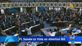 Florida Senate To Vote On Abortion Bill