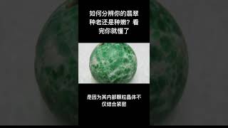 如何分辨你的翡翠種老還是種嫩？看完你就懂了#翡翠 #翡翠玉石 #翡翠代購 #翡翠原石 #翡翠手鐲 #翡翠吊墜