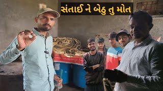 આવા ઝેરી સાપ કય રીતે પકડવા