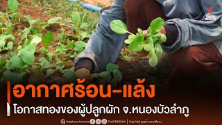 อากาศร้อน-แล้ง โอกาสทองผู้ปลูกผัก | Thai PBS ESAN