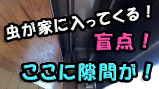 虫の侵入経路！ 「網戸の盲点」 ケアしても虫が入ってくる場合。