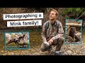 Finding & Photographing a family of Minks! How to find Wildlife, I'll show you my favorite method