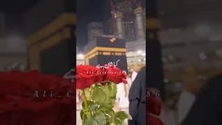 Wo Mera Nabi ﷺ Hain🥰☺|| WhatsApp status || #viralvideo  #shorts #alicreation