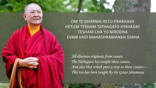 About Ye Dharma Dharani | Ringu Tulku Rinpoche