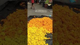 Genda ful #shortvideo #viral #nature #lovenaturephotography #flower #market #marigold #short#genda