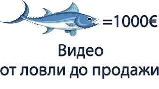 Как испанцы ловят огромных тунцов без удочки?