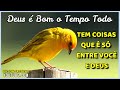 Bom dia/Mensagem de Reflexão /Tem Coisas Que é Só Entre Você e Deus!