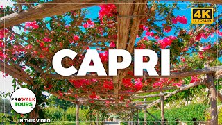 Gardens of Augustus \u0026 Charterhouse of San Giacomo | Capri Walking Tour in 4K