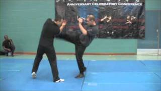 Nick Martin Sifu Wing Chun Teaching