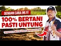 DENGAN CARA INI BERTANI PASTI UNTUNG.❗❗❗ | AGAR TANAMAN SUBUR, SEHAT & PANEN MAKSIMAL | Cabe, Padi