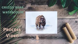 Grizzly Bear Watercolor Process - Speed Up Painting