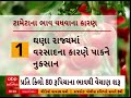 tomato price ક્યાં કેટલા છે ટામેટાના ભાવ જાણો શું છે ભાવ વધારાનું મુખ્ય કારણ