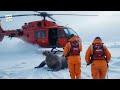 a helpless walrus covered in millions of barnacles a rescue team successfully rescued the walrus