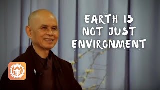 Earth Is Not Just Environment | Thich Nhat Hanh (short teaching video)