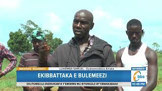 Ekibbattaka e Bulemeezi, Waliwo Abanene Abalumirizibwa Okugobaganya Abantu