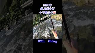 2024年　BELL　Fishing　岐阜県白川　今年最後の鮎 　 #岐阜　＃鮎　＃白川　＃鮎友釣り　＃ベルフィッシング