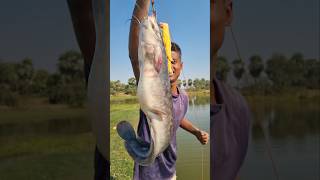 Unique Fishing video. #fishing #fish #video #reel #shorts