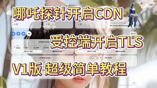 哪吒探针V1版开启CDN，受控端使用TLS。超级简单教程。小白友好。哪吒监控V1版开启CDN和TLS，喂饭级教程。全网首发教程