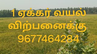 பசுமையான நெல் வயல் 1 ஏக்கர் விற்பனைக்கு