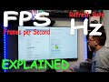 FPS vs Hz / Frames per Second vs Refresh Rate - Explained