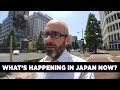 How is Japan Reacting NOW? - Questions For Corbett