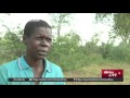 Zimbabweans go hungry as drought hammers southern Africa