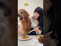 yuanbao don’t you have one yourself shortvideo funnyanimals pets ll funny funnypetsmoments