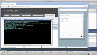 .NET to Flex Using RTMP and Remote Shared Objects