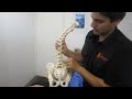 chiropractic adjustments hip flexors back spasm croydon chiropractor video dr roddy knight