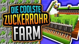 Die COOLSTE ZUCKERROHR FARM in MINECRAFT 1.21 (Tutorial)