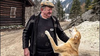 Life In A Carpathian Village Without Civilization