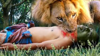 Lion Attack Man in Forest Lion Attack Hunter Lion Attack Stories Part 4