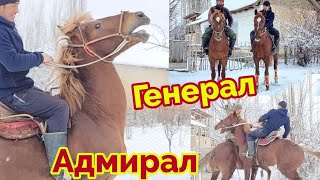 Генерал менен Адмерал Окшош Аттар Алмазда👍20 февраля 2024 г.