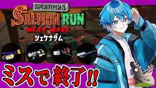 🔴【🎊ダム非開幕ノーミス】ダムでリッター4kだとぉ！？スペースシューターに火力をください！🦾【スプラトゥーン3/サーモンランNEXTWAVE/あるれるろ】